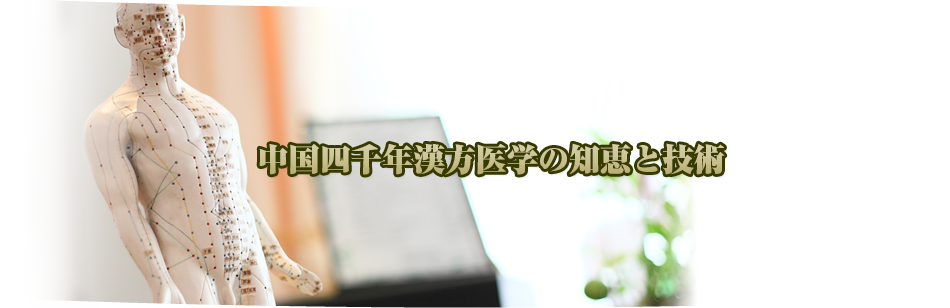 驚愕のリピート率 元気堂